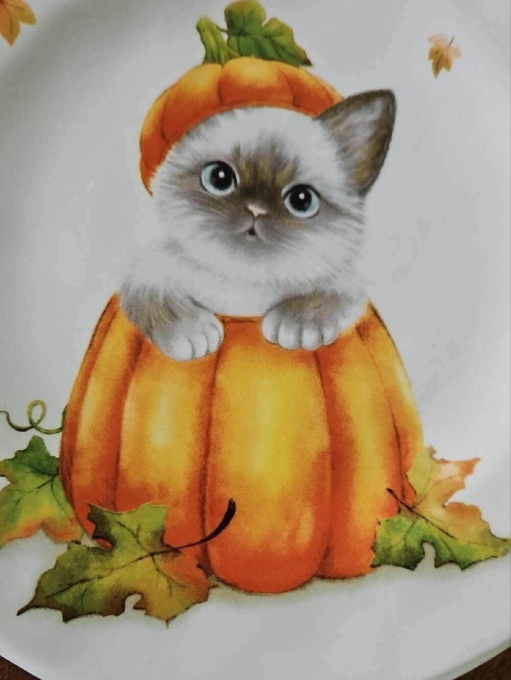 Pier 1 Cat in a Pumpkin Fall Salad/Lunxh Plates 8.5" - Set of 2 - Picture 4 of 9